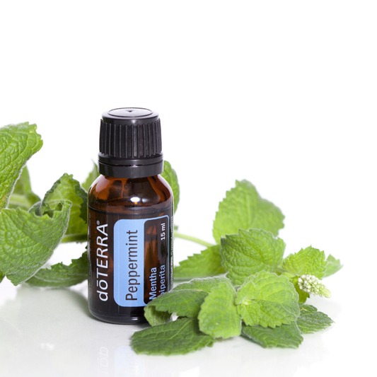 Peppermint Essential Oil