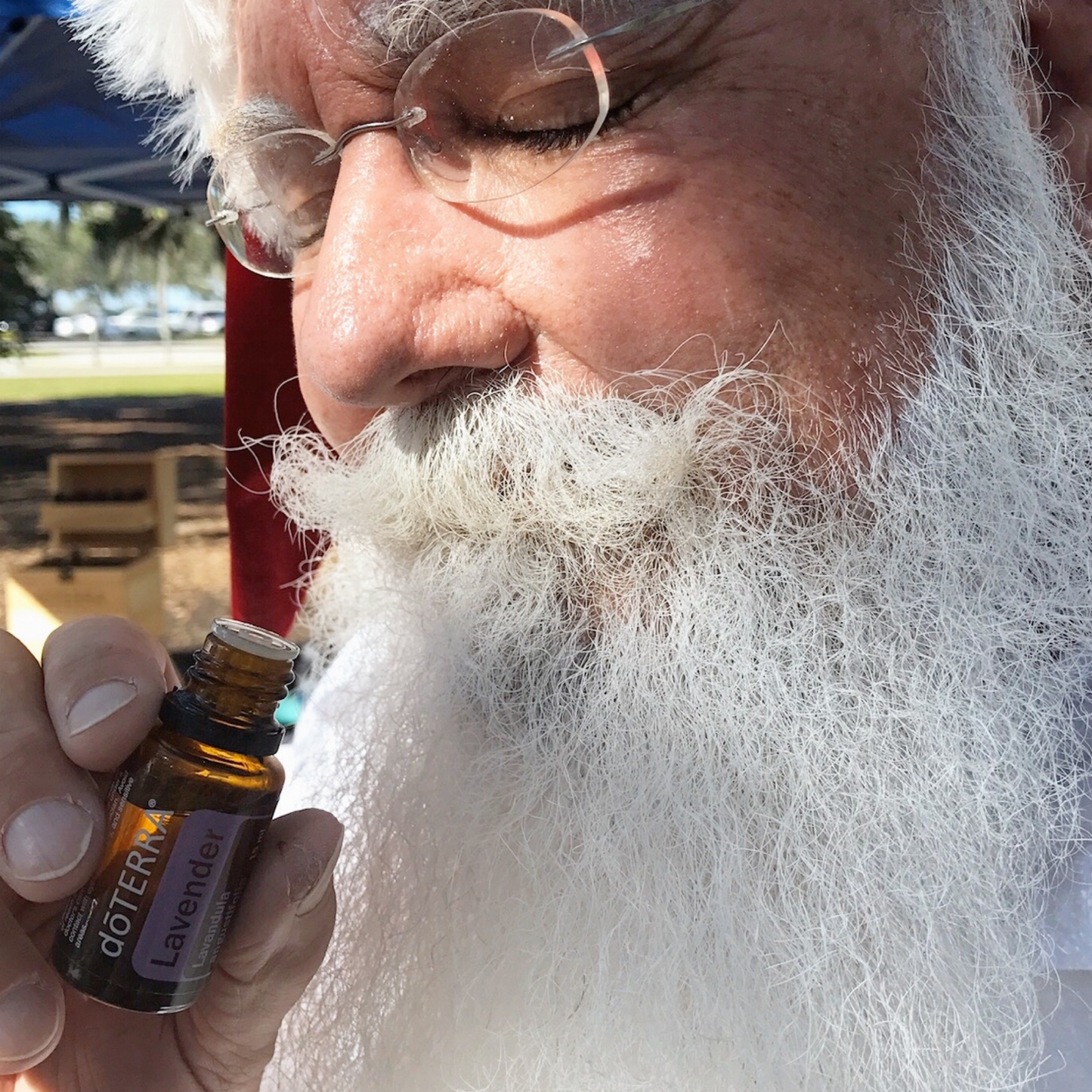 Lavender Essential Oil