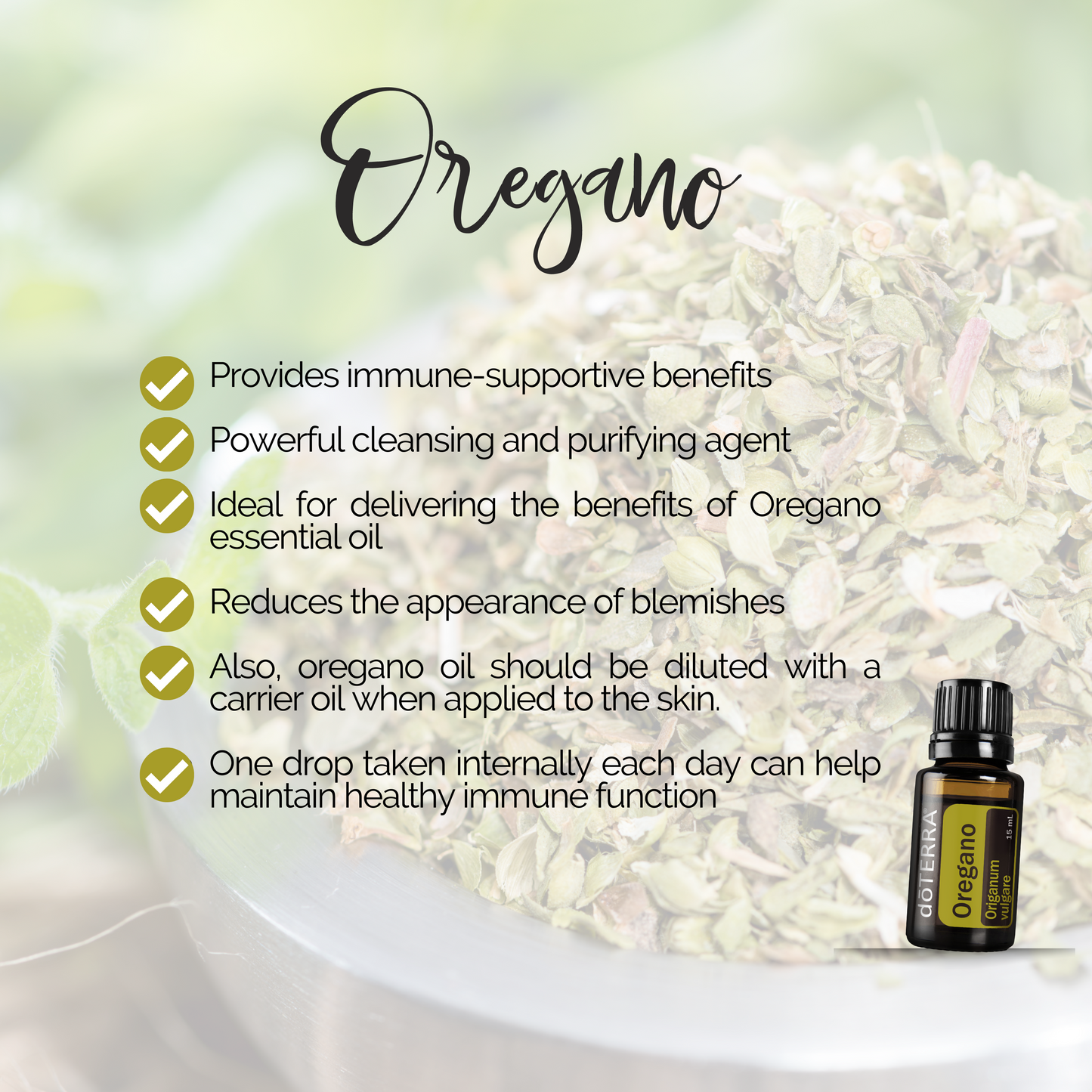 Oregano Essential Oil