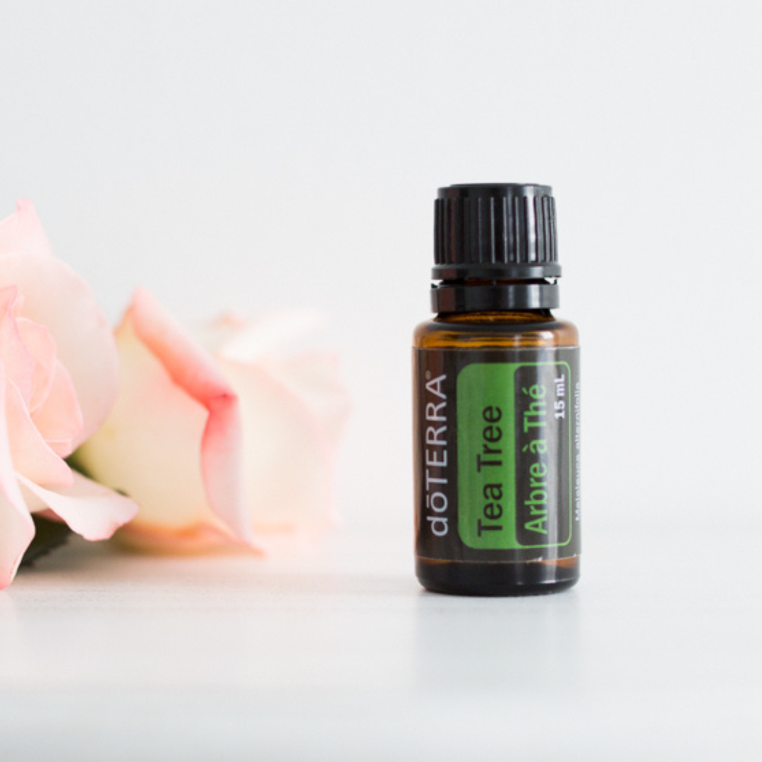 Tea Tree Essential Oil