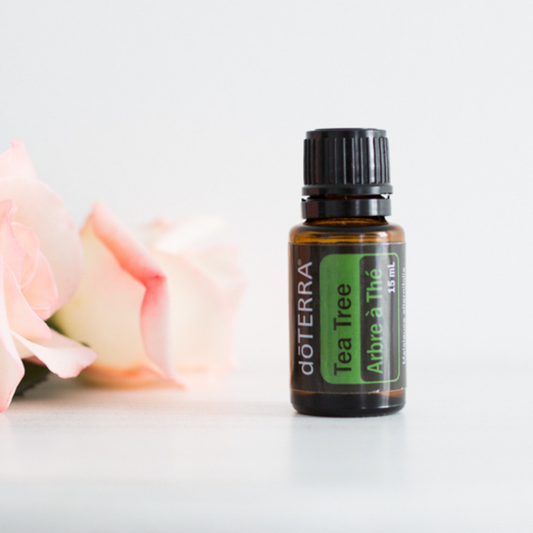 Tea Tree Essential Oil